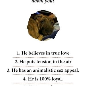 Meet your Posher, Anthony